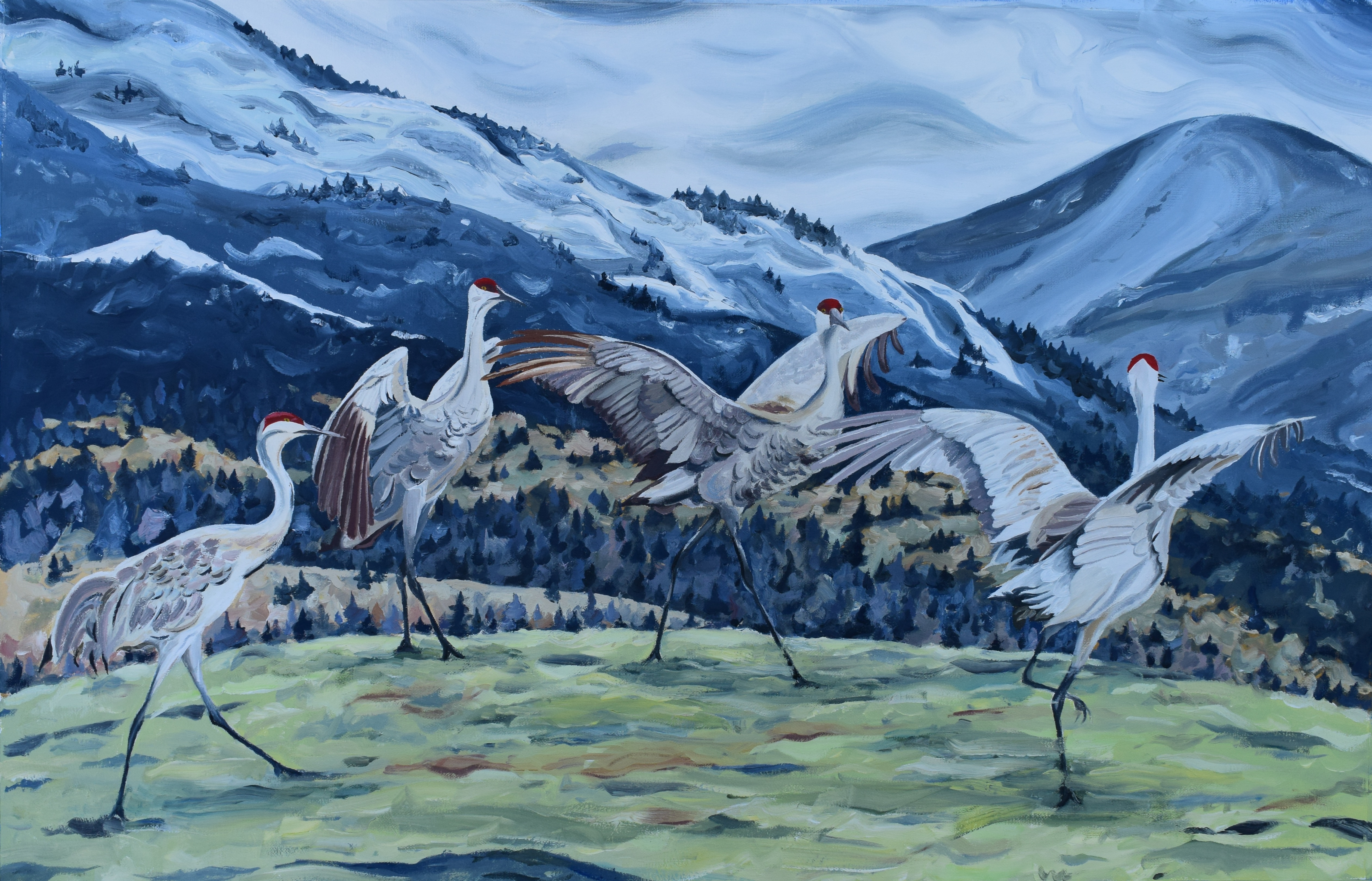 Big Sandhills